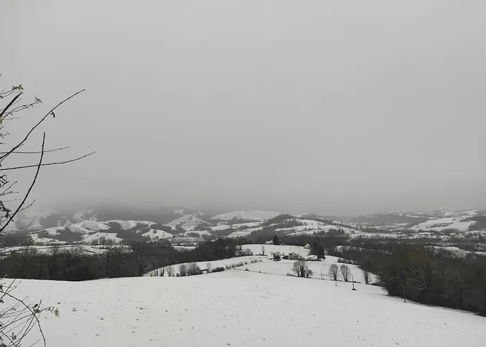 Des 3 Arbres Lejlighed *