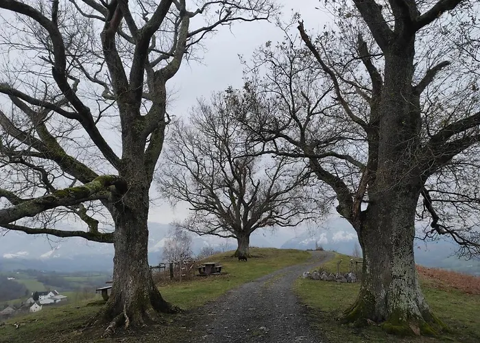 Des 3 Arbres Lejlighed